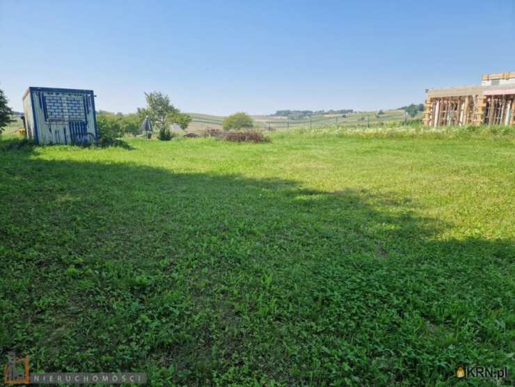 Działki  na sprzedaż, , Pietrzejowice, ul. 