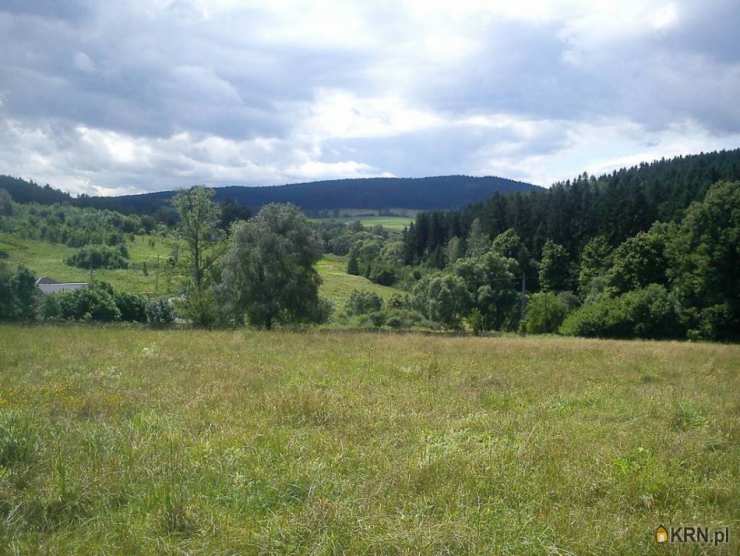 Działki  na sprzedaż, Bartnica, ul. , 