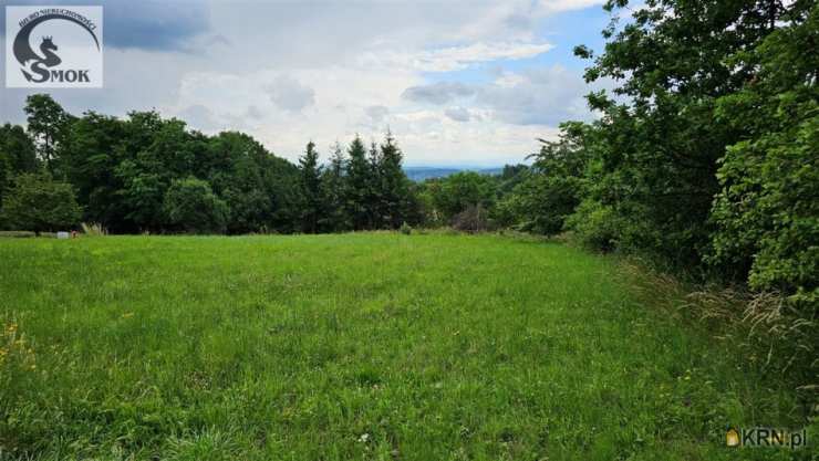 Działki  na sprzedaż, Bolechowice, ul. , 