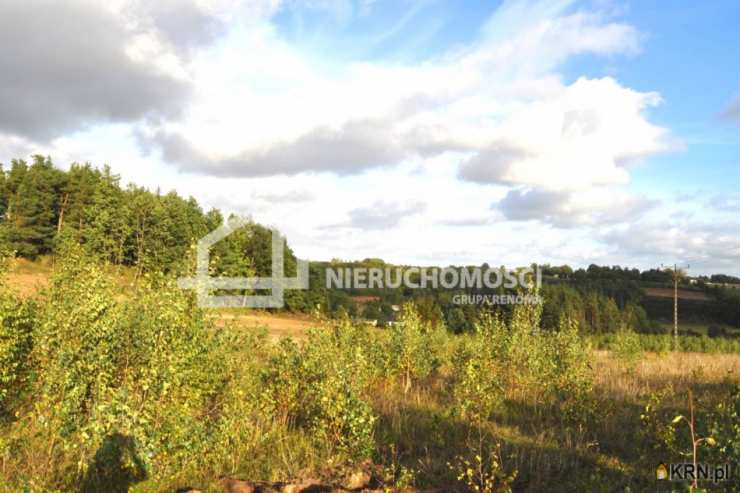 Działki  na sprzedaż, , Borzestowo, ul. 