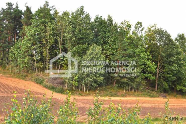 Sieciowa Agencja Nieruchomości Grupa Renoma, Działki  na sprzedaż, Borzestowo, ul. 