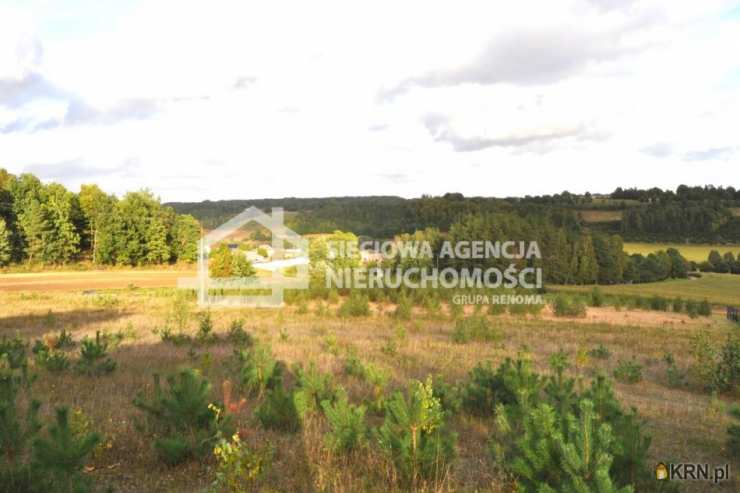 , Działki  na sprzedaż, Borzestowo, ul. 