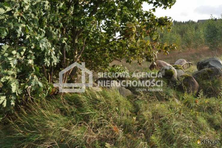 Borzestowo, ul. , , Działki  na sprzedaż