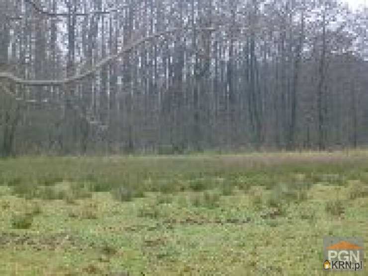 Chrząszczewko, ul. , , Działki  na sprzedaż