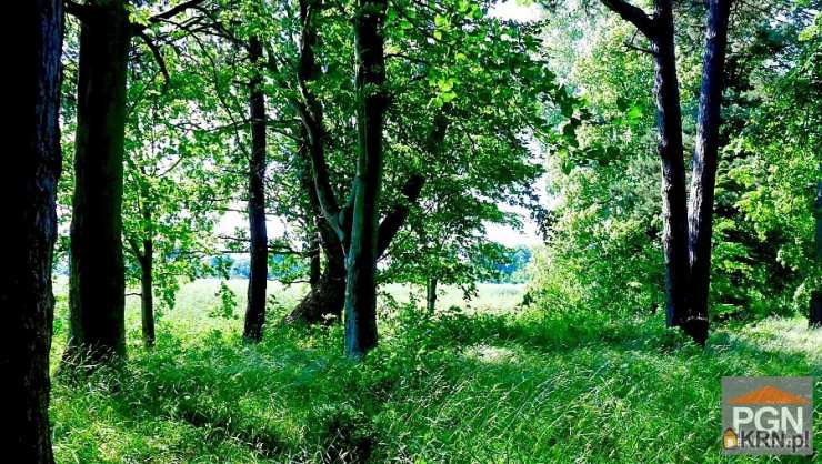 Chrząszczewo, ul. , , Działki  na sprzedaż