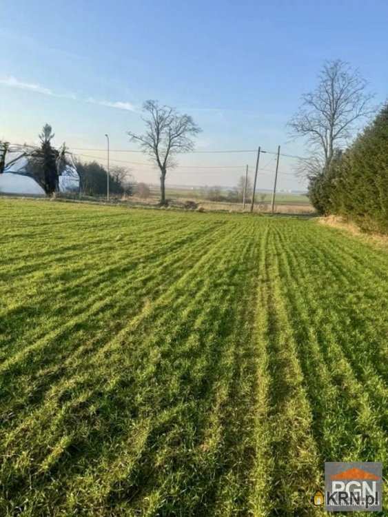 Dźwirzyno, ul. , Działki  na sprzedaż, 