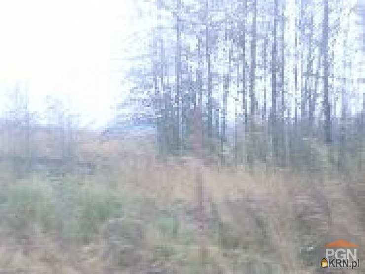 Jarszewo, ul. , , Działki  na sprzedaż