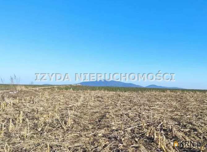 Działki  na sprzedaż, Klecin, ul. , 