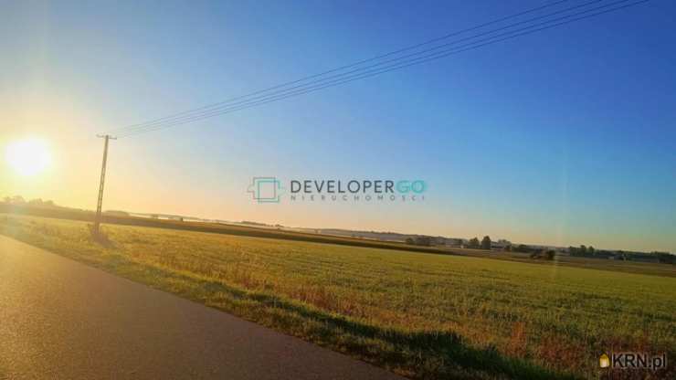 Działki  na sprzedaż, Kurowo-Kolonia, ul. , 