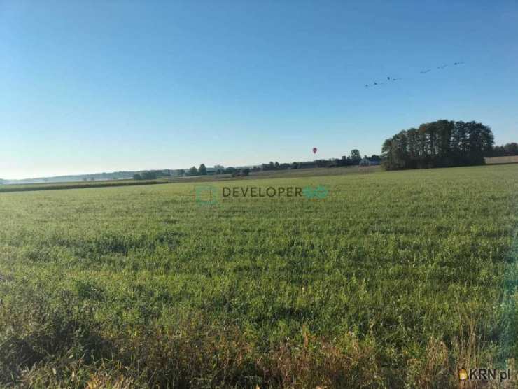 Działki  na sprzedaż, , Kurowo-Kolonia, ul. 