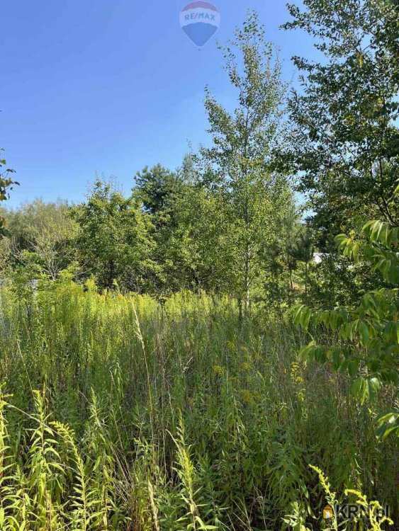 , Łoś, ul. , Działki  na sprzedaż