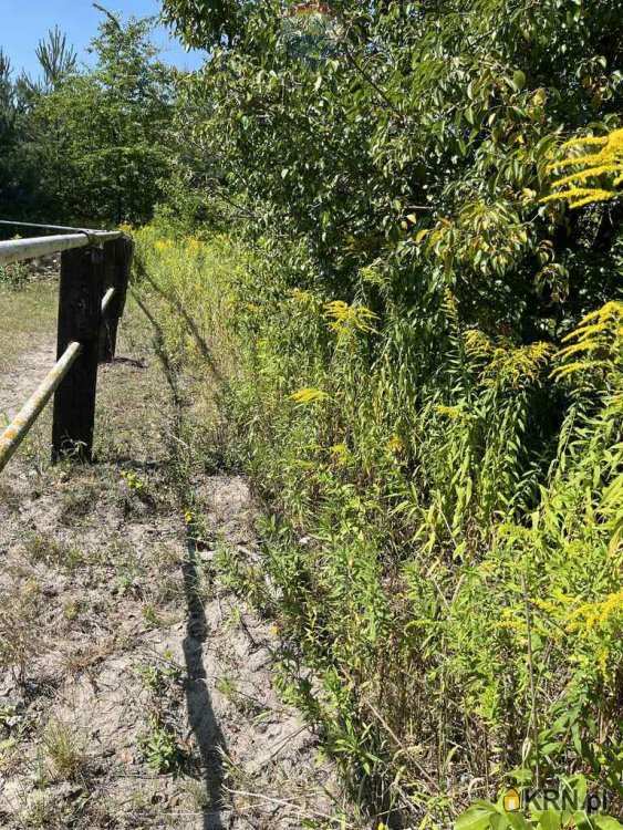 Łoś, ul. , Działki  na sprzedaż, 