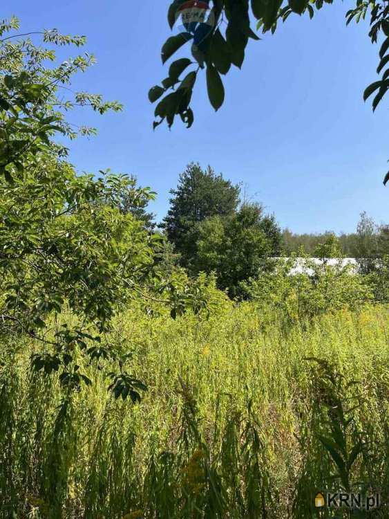 , Działki  na sprzedaż, Łoś, ul. 