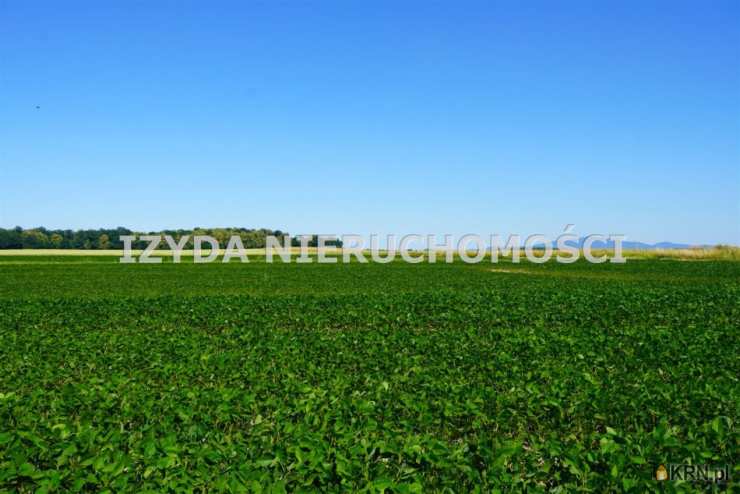 Działki  na sprzedaż, Mikoszowa, ul. , 