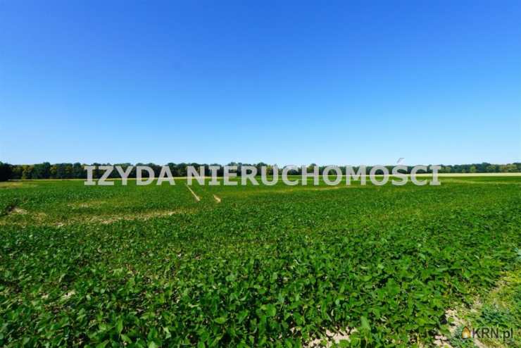 Działki  na sprzedaż, , Mikoszowa, ul. 