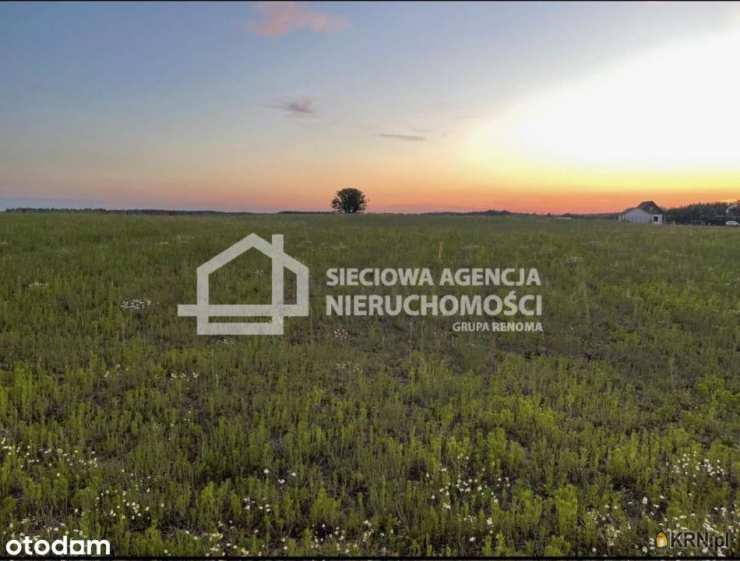 Sieciowa Agencja Nieruchomości Grupa Renoma, Działki  na sprzedaż, Niesiołowice, ul. 