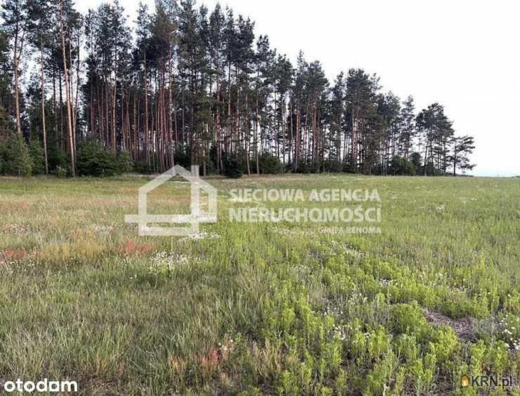 Działki  na sprzedaż, Niesiołowice, ul. , 