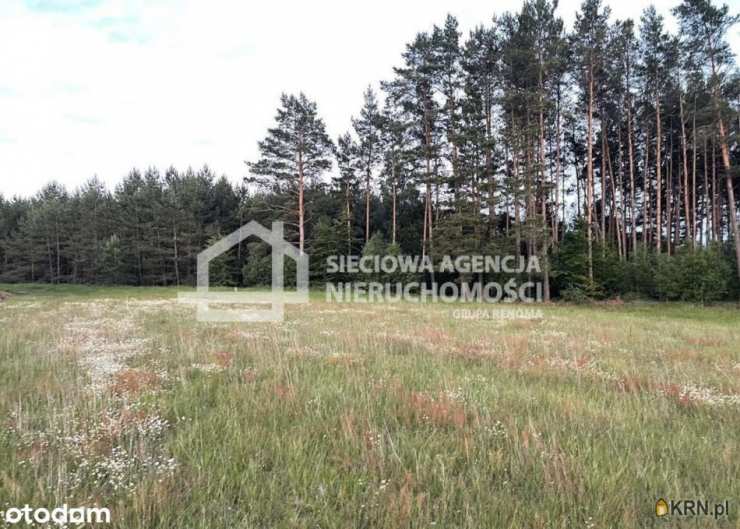 Działki  na sprzedaż, , Niesiołowice, ul. 