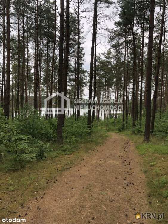 Niesiołowice, ul. , , Działki  na sprzedaż