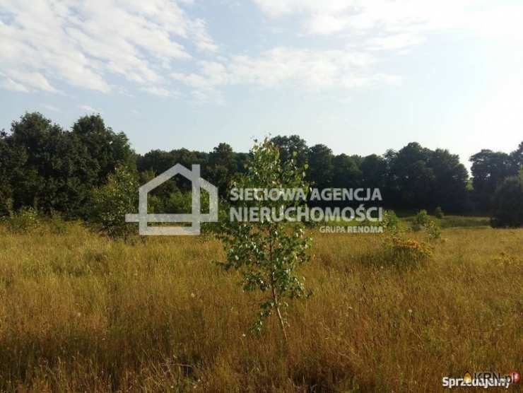 , Nowa Wieś, ul. , Działki  na sprzedaż