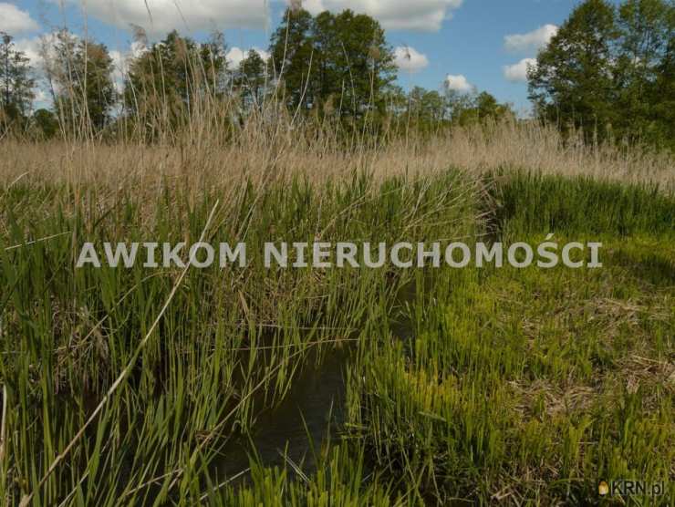 , Działki  na sprzedaż, Sewerynów, ul. 