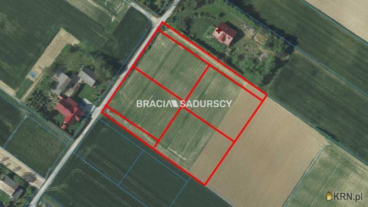 Sieciechowice, ul. , , Działki  na sprzedaż