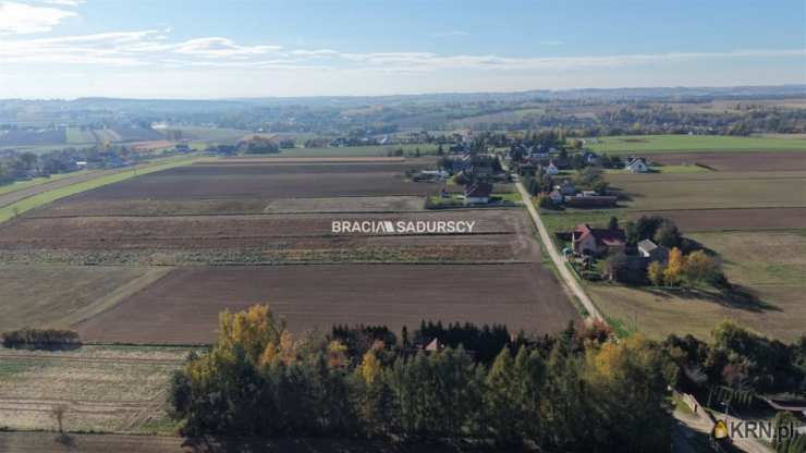 Sieciechowice, ul. , Działki  na sprzedaż, 