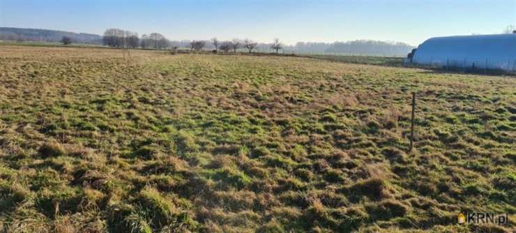 Skorzynice, ul. , Działki  na sprzedaż, 