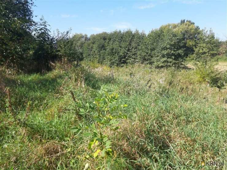 Stare Bogaczowice, ul. , , Działki  na sprzedaż