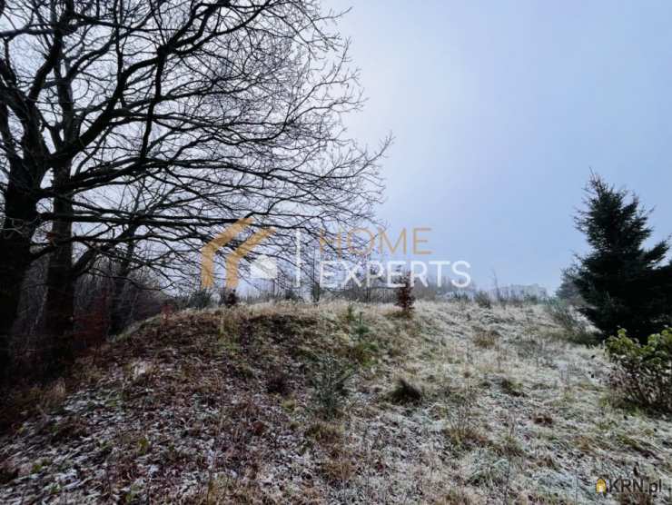 Działki  na sprzedaż, , Warzenko, ul. Kasztanowa