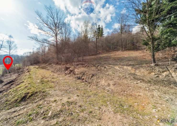 RE/MAX Polska, Działki  na sprzedaż, Wisła, ul. 