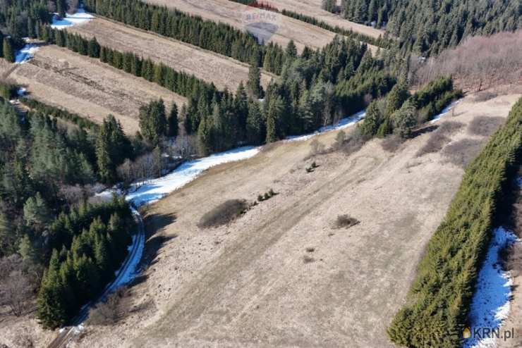 Dursztyn, ul. , , Działki  na sprzedaż