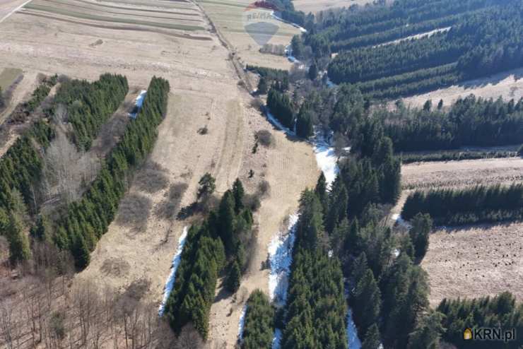 Działki  na sprzedaż, Dursztyn, ul. , 