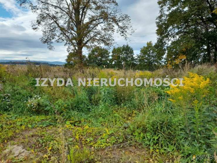 Działki  na sprzedaż, Boleścin, ul. , 