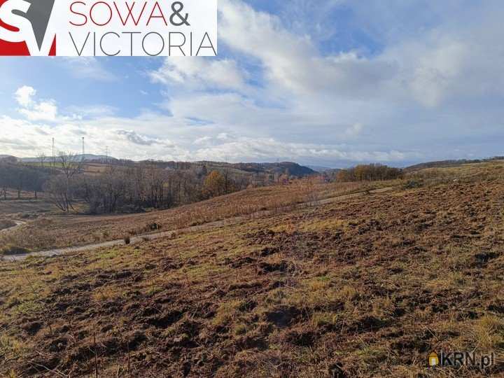 Działki  na sprzedaż, Cieszów, ul. , 