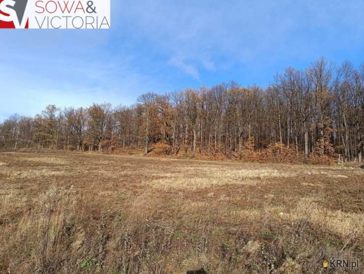 Cieszów, ul. , , Działki  na sprzedaż