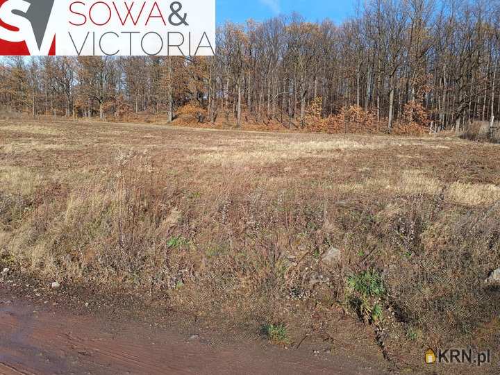 , Działki  na sprzedaż, Cieszów, ul. 