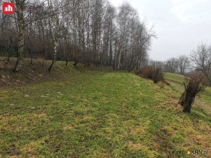 Działki  na sprzedaż, Golkowice, ul. , 