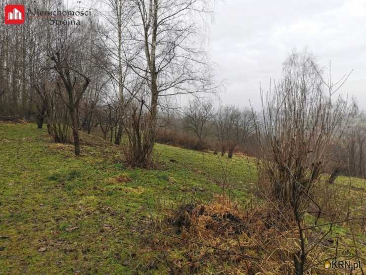 Działki  na sprzedaż, Golkowice, ul. , 