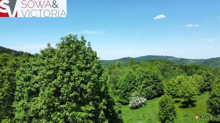 Działki  na sprzedaż, Walim, ul. , 