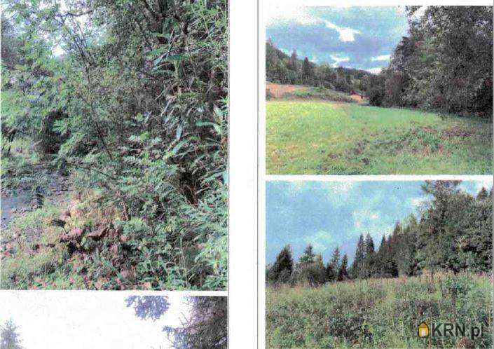 Ochotnica Górna, ul. , Działki  na sprzedaż, 