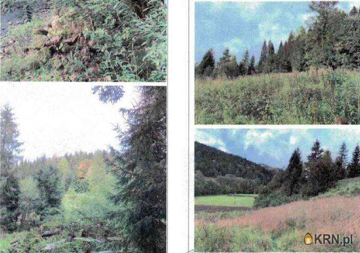 Ochotnica Górna, ul. , , Działki  na sprzedaż