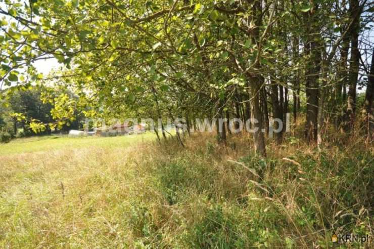 Działki  na sprzedaż, Głuszyca, ul. Gdańska, 