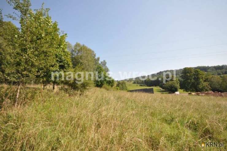 Głuszyca, ul. Gdańska, Działki  na sprzedaż, 