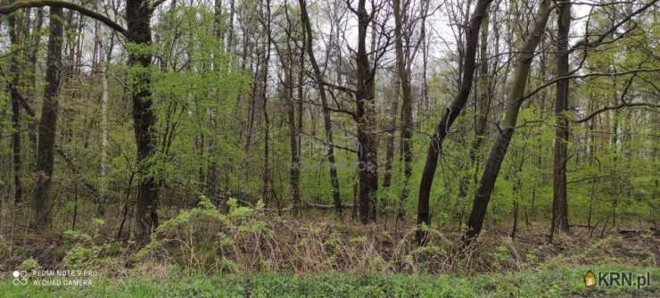 Słomczyn, ul. Urocza, , Działki  na sprzedaż