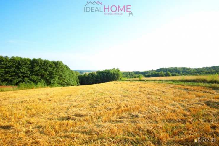 Działki  na sprzedaż, , Hłudno, ul. 