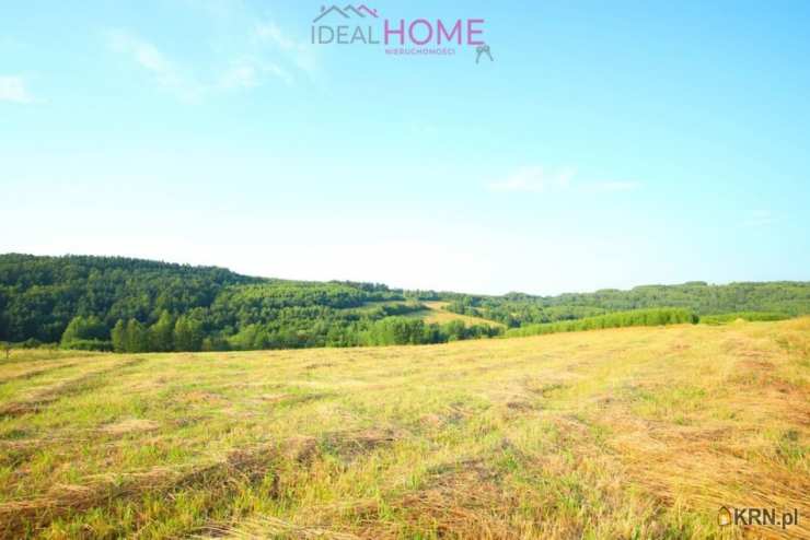 , Działki  na sprzedaż, Hłudno, ul. 