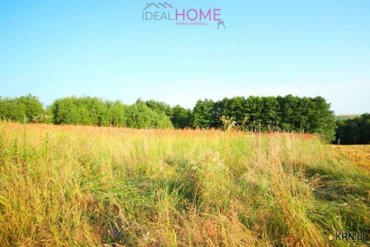  Ideal Home Nieruchomości , Działki  na sprzedaż, Hłudno, ul. 