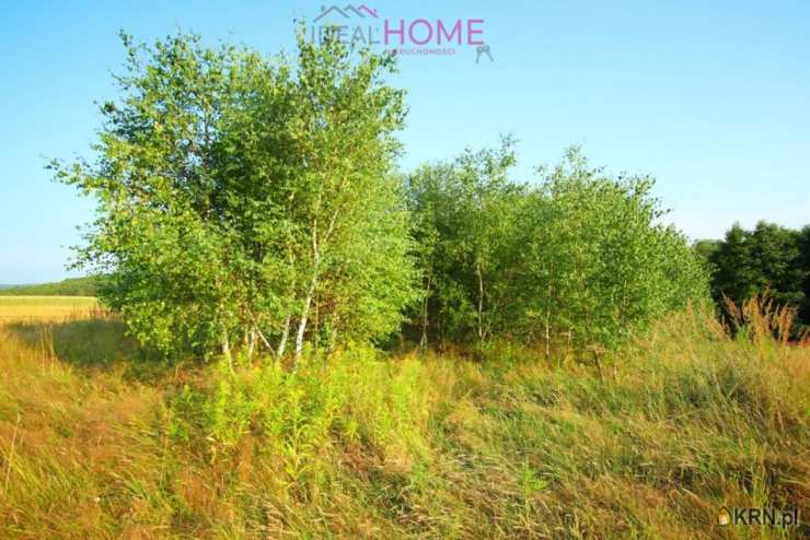 Działki  na sprzedaż, , Hłudno, ul. 