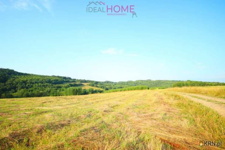 Hłudno, ul. , Działki  na sprzedaż, 